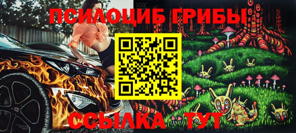 Зеленогорск  купить наркотики сайты  Вход с VPN  Псилоцибиновые грибы Psilocybe 