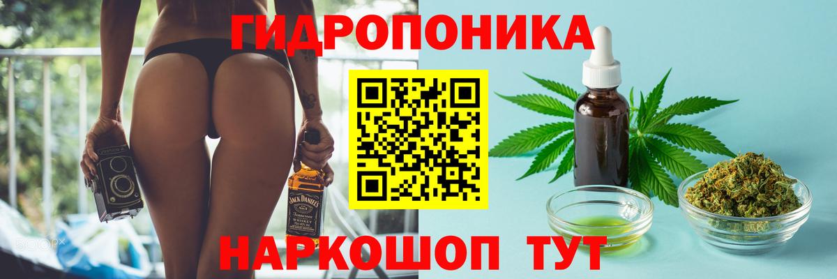 Зеленогорск  Марихуана сатива  Бошки Шишки LSD WEED  Каннабис MAZAR  Вход с VPN 